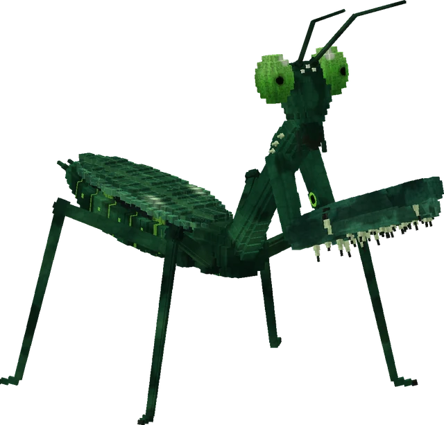 mantis.webp